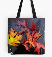 after the rain Tote Bag