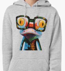 Hipster Frog Nerd Glasses Pullover Hoodie