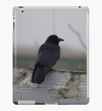Raven on a Fence iPad Case/Skin