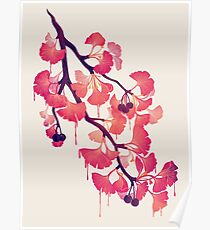 O Ginkgo Poster