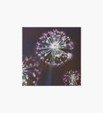 Lámina de exposición Floral Fireworks. Dark Floral