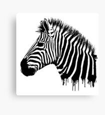 Zebra paint drip Canvas Print