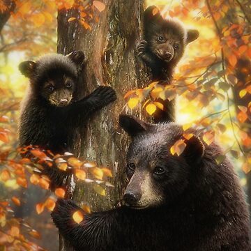 Artwork thumbnail, Black Bears by DavidPenfound