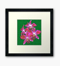 Artistic Orchid Framed Print