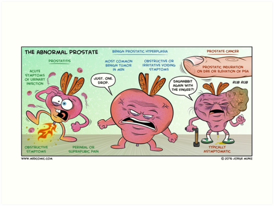 The Abnormal Prostate Art Prints By Medcomic Redbubble