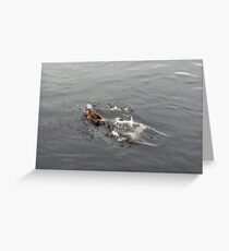 Splash Down Greeting Card