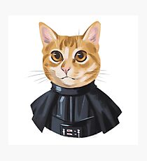 Star wars cat Photographic Print