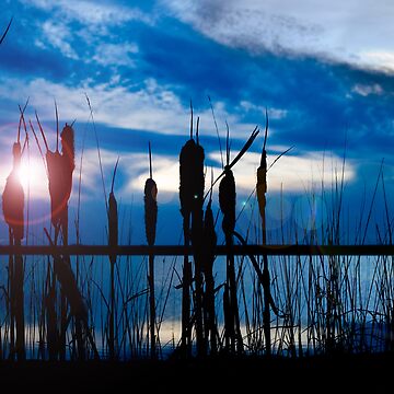 Artwork thumbnail, My Blue Lagoon by jwwalter