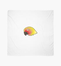 Sun Conure Bird Scarf