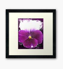 Cover Framed Print