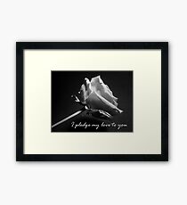 Pledge Framed Print