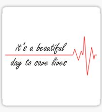 Grey's anatomy Sticker