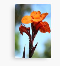 Flowers 14 Canvas Print
