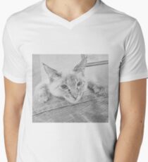 Relaxing Perch Men's V-Neck T-Shirt