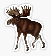 Natural Wonder Sticker