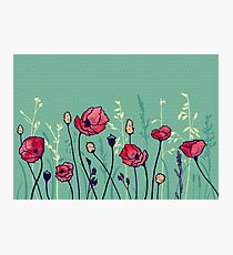 Summer Field Photographic Print
