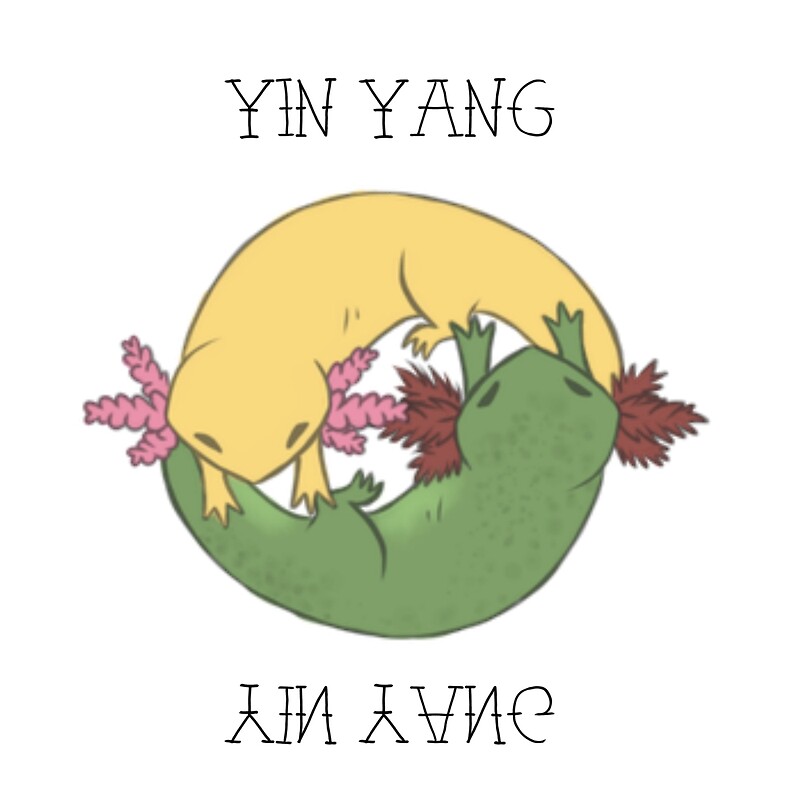 Yin Yang Ajolote By Imeevee Redbubble