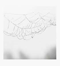 Web Photographic Print