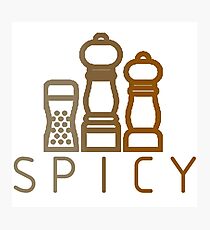 spicy spices Photographic Print