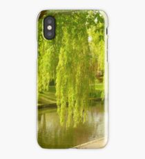 Willow Trees In Spring iPhone Case