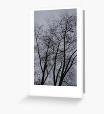 Bare Branches II Greeting Card