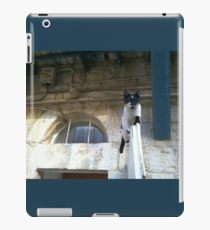 Magical Jerusalem Cat iPad Case/Skin