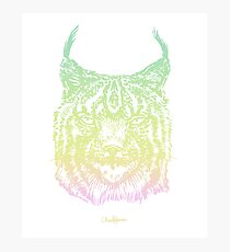 Lynx In Space Photographic Print