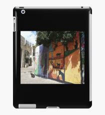 Cat graffiti in Jerusalem Cat iPad Case/Skin
