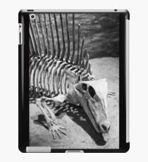 Spike iPad Case/Skin
