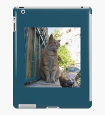 Lordly Jerusalem neighborhood cat iPad Case/Skin