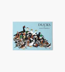 Ducks of North America Art Board