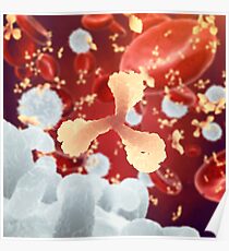 Immune system Poster