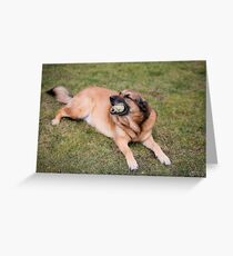 lady Greeting Card