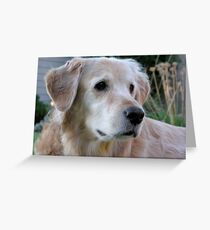 Bodie, Serious Greeting Card