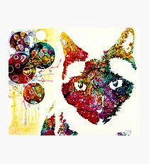 "I Can't Look At The Stars" Siamese Cat Photographic Print