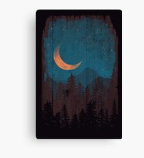 Those Summer Nights... Canvas Print