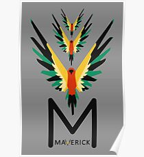 YOUTUBER MAV PAUL Poster