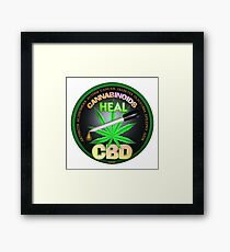 CBD Cannabinoids in Hemp oil Cures learn truth about use of hemp oil to cure illness and pains. Framed Print