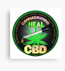 CBD Cannabinoids in Hemp oil Cures learn truth about use of hemp oil to cure illness and pains. Canvas Print