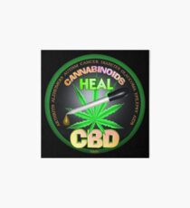 CBD Cannabinoids in Hemp oil Cures learn truth about use of hemp oil to cure illness and pains. Art Board