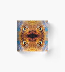 Angry Fish Face #03 Acrylic Block