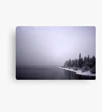 Blizzard Canvas Print