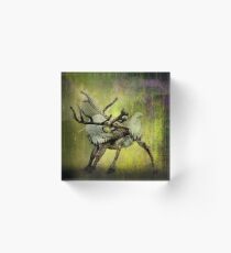 Caribou and the Northern Lights Acrylic Block