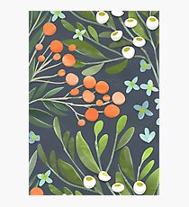 Summer Night Photographic Print