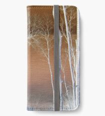 Lake Michigan Through the Trees iPhone Wallet/Case/Skin