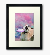 Frisbee Doge Framed Print