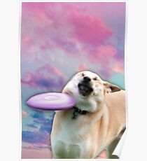 Frisbee Doge Poster