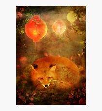 Fox Dreams Photographic Print