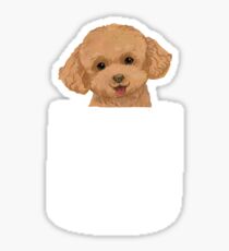 Toy Poodle Dog In Your Front Pocket Puppy Lover Gift Sticker