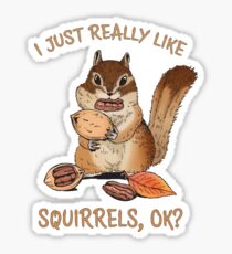 I Just Really Like Squirrels Ok Funny Squirrel Lover Sticker